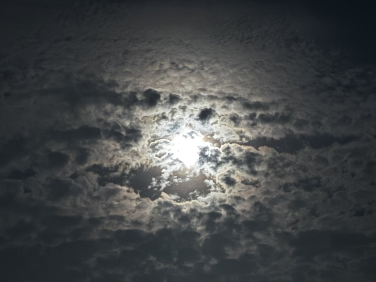 marble1218's tweet photo. ふっと、真夜中に起きてベランダへ。
不思議と導かれるように、月夜を眺めていた。なんだか今夜の月は、惹かれるな、と想った。今日から7月。なんて早いのだろう。おなかがすいて、今はたまごサンドの準備をしている。ちょっと寝不足。 https://t.co/hzH0mYM0ZO