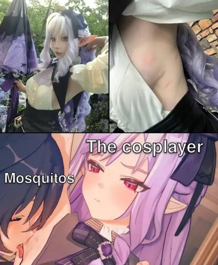 RioFutabaAzteca's tweet photo. me a mosquito https://t.co/spGx8hFa49