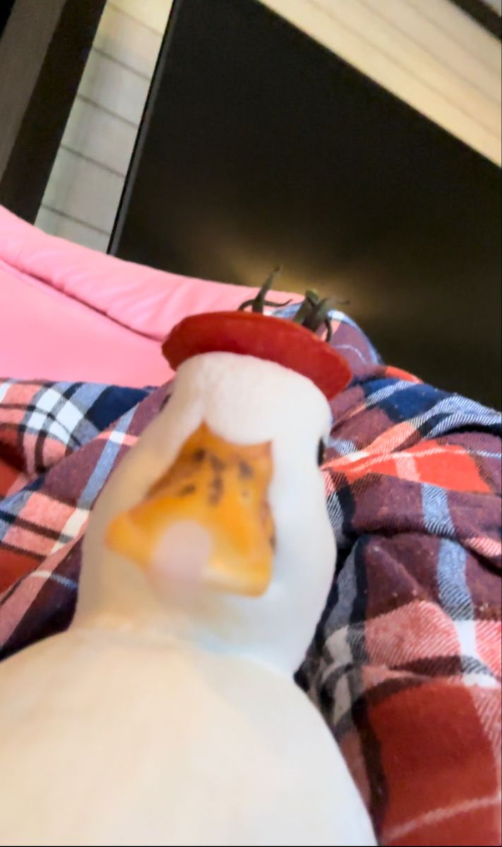 theduckposter's tweet photo. https://t.co/RLeyPlEv2N
