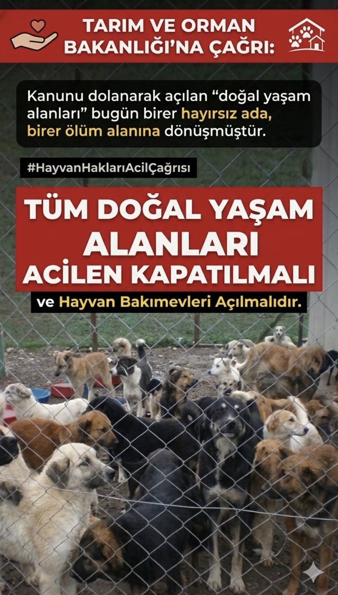 GuvenliUlke's tweet photo. 1.000.000 köpek katledildi!
Kanuna aykırı valilik talimatları,
Kanuna aykırı yaşam alanları bu katliamın sebebidir! 
#7527İptalEdilsin https://t.co/wnXpD11Il9