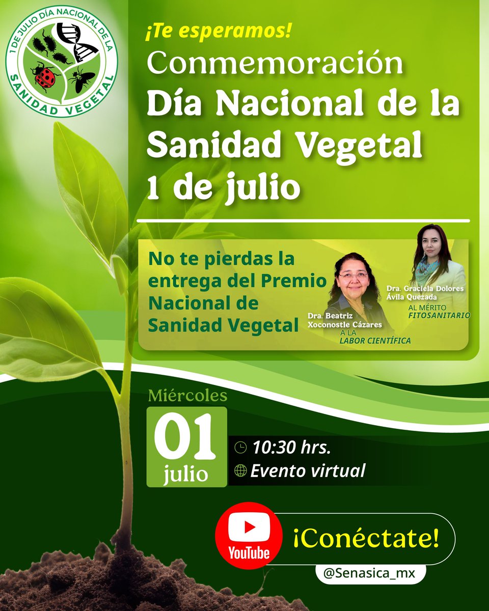 SENASICA's tweet photo. No te pierdas la entrega del Premio Nacional de #SanidadVegetal, en el marco de la conmemoración de esta fecha.🎖️ 🌱

Cita:
📅 1 de julio |  10:30 hrs
💻 Evento virtual vía YouTube 

#SenasicaActua #Fitosanitario 
#DiaNacionaldeLaSanidadVegetal https://t.co/Rvqw3aaTCM