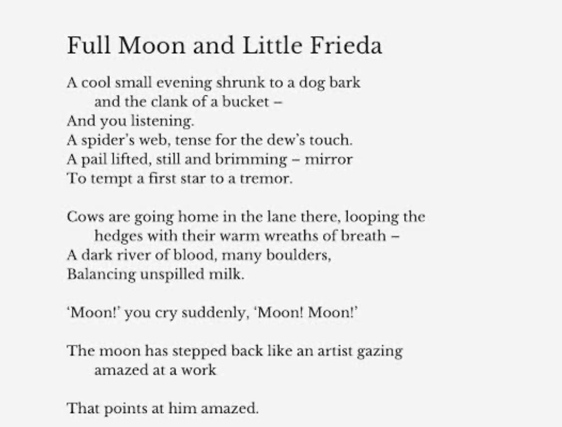 the_anonymous15's tweet photo. Full Moon and Little Frieda 🤍 
By 
Ted Hughes https://t.co/nOBNk85oSj