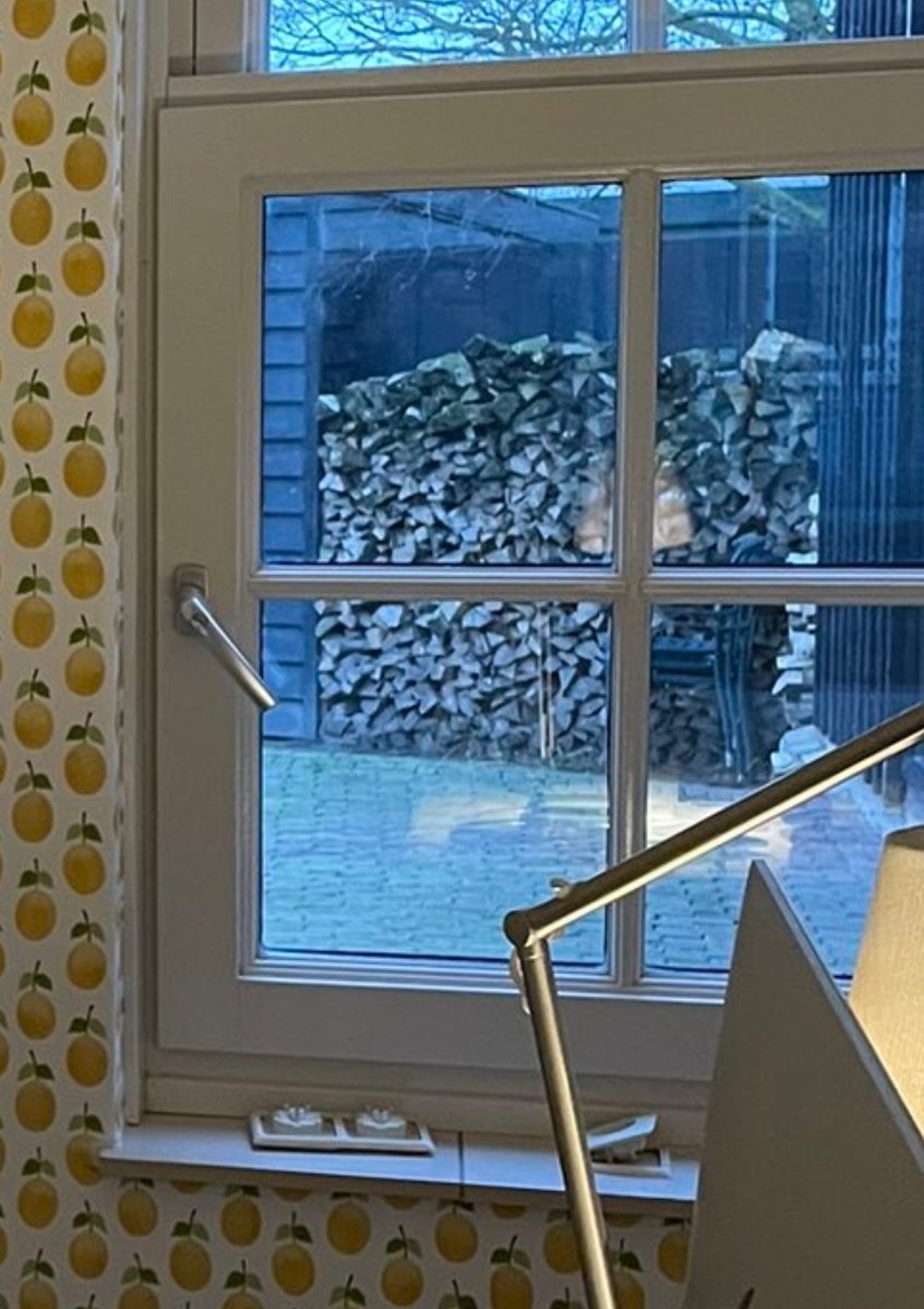 moeva18's tweet photo. Brommert woont zelf op het platteland, stookt zich suf met haar houtkachel en zit enkel en alleen in de Kamer om haar lage zelfbeeld te strelen.

Dus het kapotmaken van vele boerenfamilies en hun bedrijven heeft Laura totaal geen moeite mee.
Sterker nog, ze staat, samen met al haar @progressiefned collega's en leden vooraan om de hakbijl neer te laten vallen!

Want als PRO hun zin niet krijgt dan gaan ze zich dictatoriaal opstellen en dreigen.