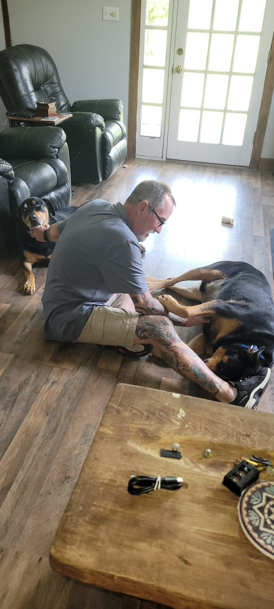 Bensondarrell12's tweet photo. @Maga4liberty I'd say come over and meet Smith and Wesson. 
Then, when they realize that dogs are okay, I say the magic word, boom, they poo their pants and then go back home.  Obviously, not letting them hurt said person just a fright. https://t.co/jTYgNqOS3E