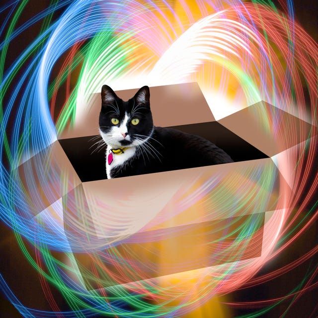 TechUnpackDaily's tweet photo. Schrödinger's cat just got company.
First proposed in 1935, the famous thought experiment is the classic explanation of quantum superposition.
A new study shows it's only the beginning of how strange the quantum world really gets.
🐱⚛️ https://t.co/ptFyFpLXQc