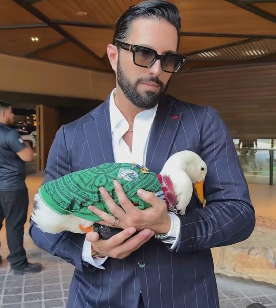 MundoPatitas's tweet photo. Así le han quedado las alas al pato Merlín después de semanas de traer una playera que se las mantiene aplanadas.
Al acudir a Monterrey invitados por Poncho Denigris un veterinario les obsequio una consulta para revisar su estado de salud, pero lo que mostraron las imágenes fue el deterioro de su plumaje y sus alas contraídas, también perdió importante cantidad de plumas en el cuello por el collar qué trae, y en su colita, por eso es que no se le ve la clásica "cola de pato", aunque los patos y en general cualquier ave cambia de plumaje de forma natural, en este caso se trata de un proceso forzado por sus humanos.
Ninguna asociación protectora de animales ha buscado parar la situación 
Desde hace varios días, la integridad del pato viral ha sido cuestionada debido a que está siendo sometido a mucho estrés y a un deterioro de su cuerpo.
Varios cibernautas piden parar la situación,  pero en vez de eso el pato se encuentra de gira con coste a los patrocinadores.

"Señora saquele esas alas por Dios está hermoso es una ternurita pero que estrés mirarlo con las alitas sujetas haber caminé usted con los brazos amarrados"
"Prácticamente ése animalito trae una camisa de fuerza 🧐🧐.... pobrecito"
"Los patos se estresan y luego se arrancan plumas y sangran, lo sé xq tenemos pato"
"Le puede hacer un chaleco para que tenga libres sus alas porfavor".
Pero hay algo que ha  cegado a la dueña del pato y los reflectores, las invitacione$ no permiten que piense en la salud del animalito.

Los patos viven en estanques, ocupan nadar
Los patos necesitan extender sus alas
Los patos requieren un espacio amplio para vivir
Los patos no deben tener sus alas presionadas, podrían sufrir un tipo de artritis con el tiempo
Los patos, por cierto los patos cagan cada 5 minutos ¿a caso le dan aplican algún medicamento a cierto pato para que no defeque?