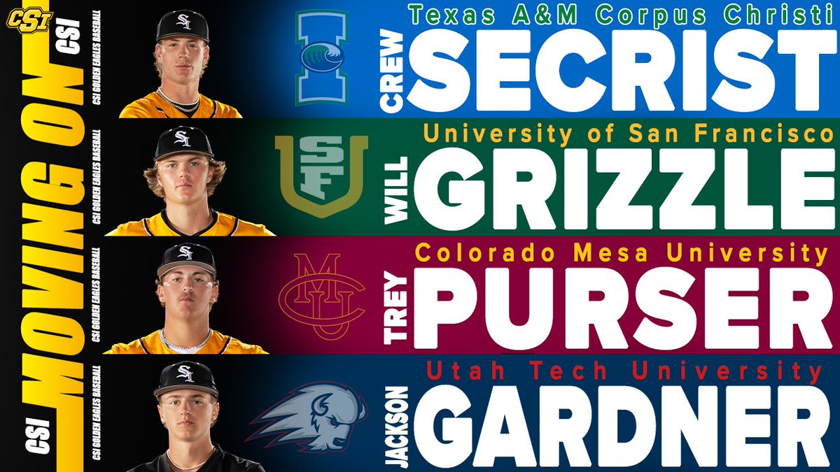 CSI Baseball tweet media
