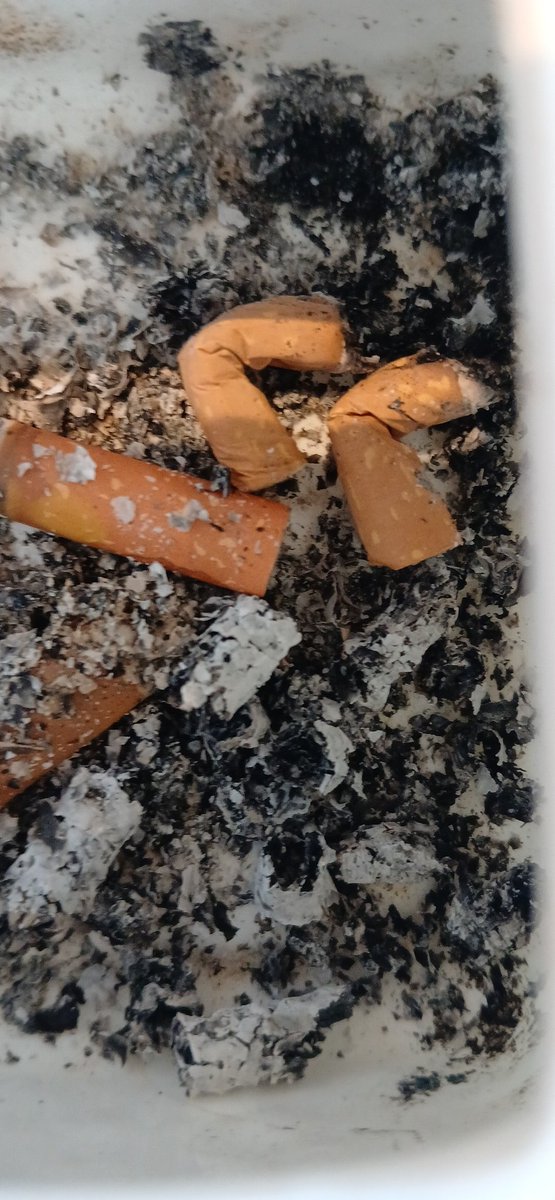 Findom_Serix's tweet photo. Whos replacing my ashtray 
Human ashtray human atm
Findom smoke sub https://t.co/kaSEBoRZaM