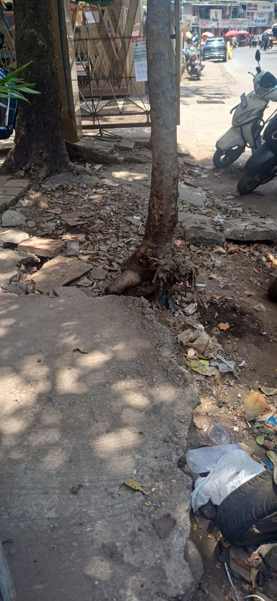 Shayarzind's tweet photo. @mashrujeet  @mybmc  pls do something this trees can fall anytime.. last week also one big tree has fallen in same spot. Pls prepare this footpath it is causing daily accidents location: kukreja garden LBS bhandup west @Dev_Fadnavis  @mieknathshinde  @CMOMaharashtra   @RajoolP https://t.co/pi95BgOkj4