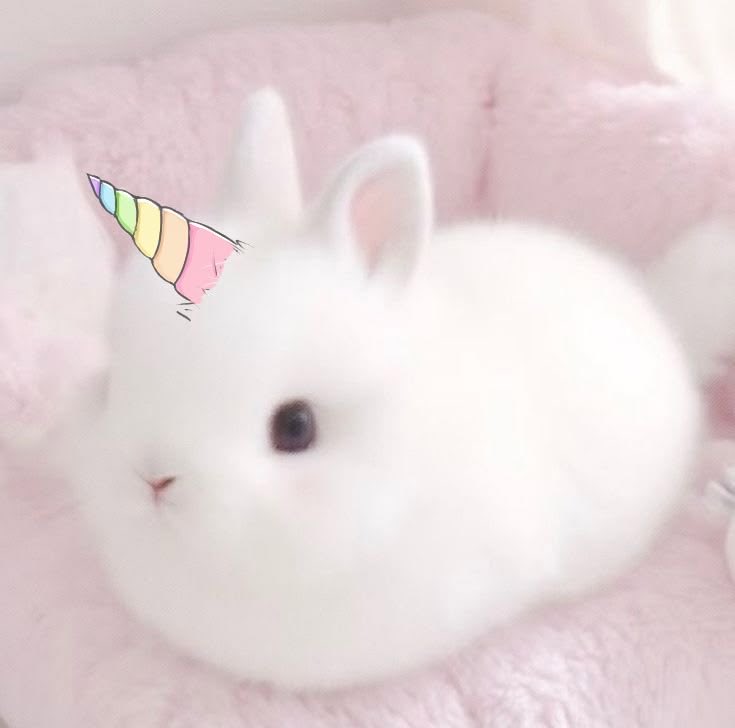 litlnshy's tweet photo. https://t.co/9AHKEOCNU6
