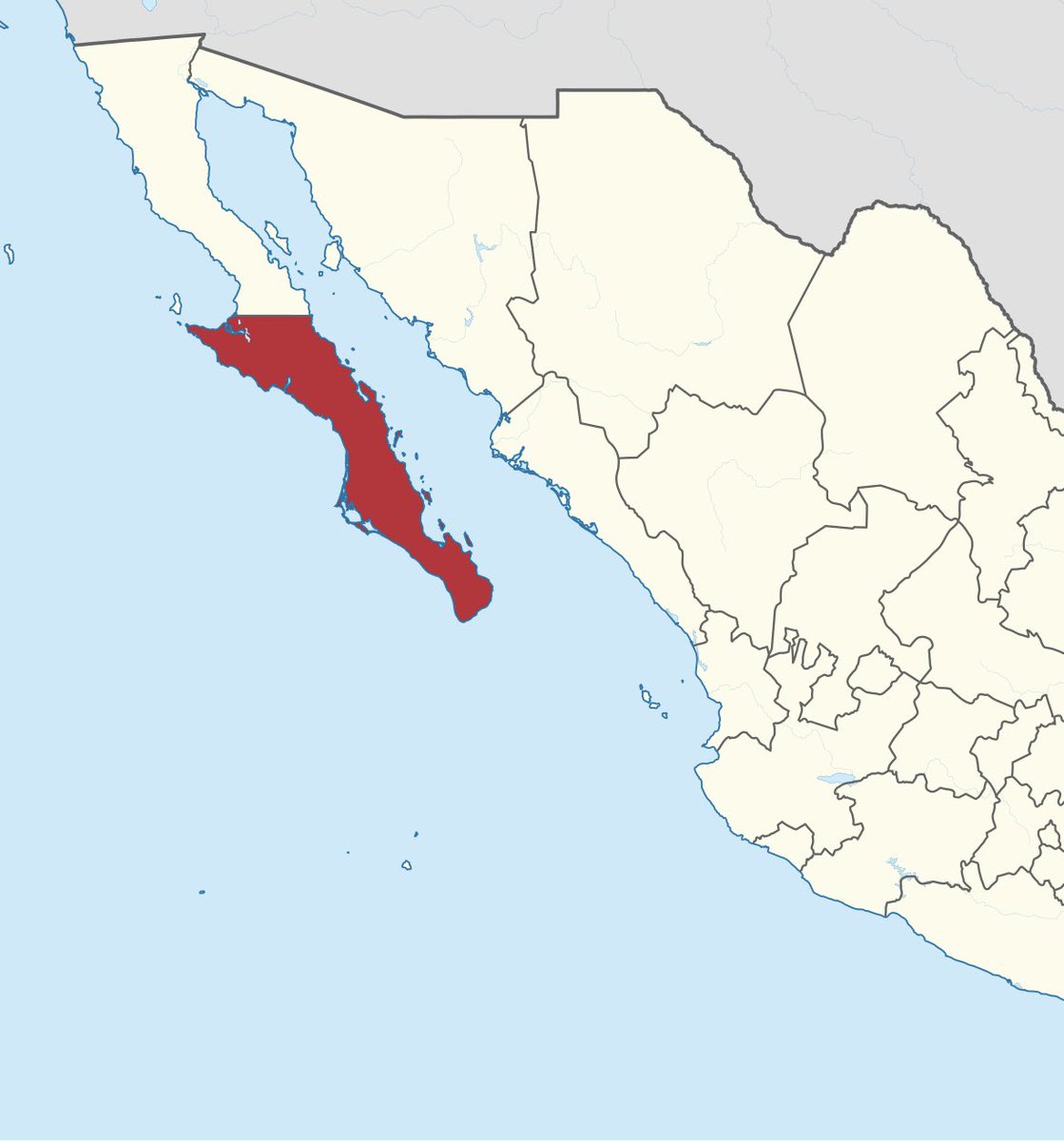 CerebrosG's tweet photo. El conductor involucrado en el atropellamiento masivo ocurrido durante los festejos del Mundial en Cabo San Lucas… falleció este martes mientras permanecía hospitalizado. https://t.co/LHZqdq4UAs