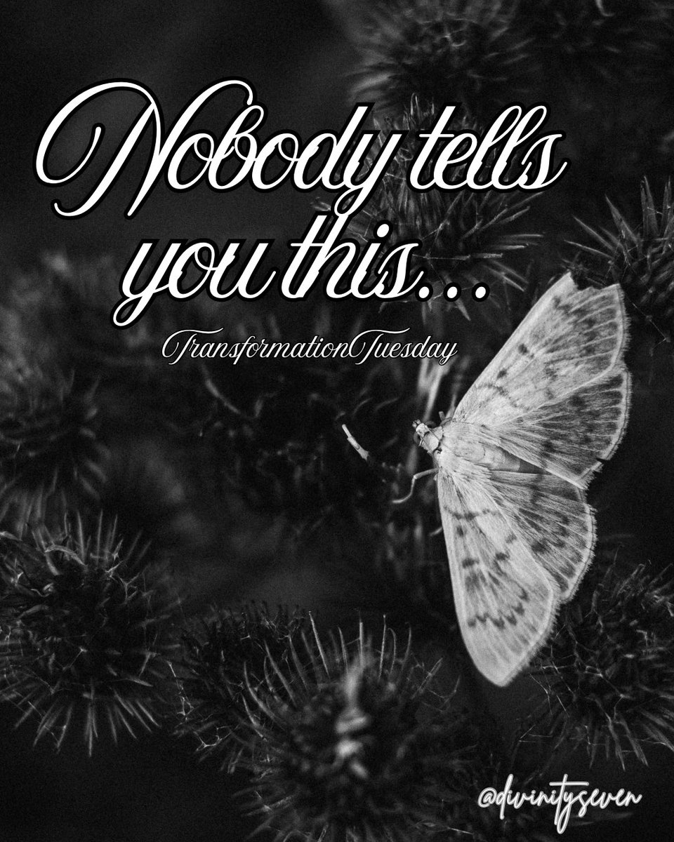 SevenDivinity's tweet photo. #TransformationTuesday
The version of you you’re praying for is being built through the process you’re tempted to avoid.
Transformation isn’t glamorous.
It’s often quiet…
It’s repetitive…
It’s uncomfortable…
But every step forward matters. Don’t let temporary discomfort stop permanent transformation.
Keep going…Your story isn’t finished yet.