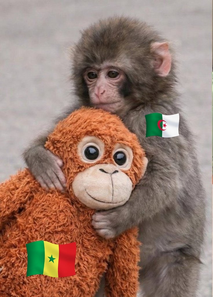 CHEKEMTONK213's tweet photo. @khadiim5 Acroche toi à ce que tu peux SFDP de REK https://t.co/UN6fgi2C4z