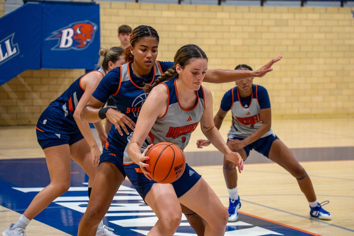 Bucknell_WBB's tweet photo. Summer in Davis Gym hits different. 

#TST https://t.co/mrY332K3NY