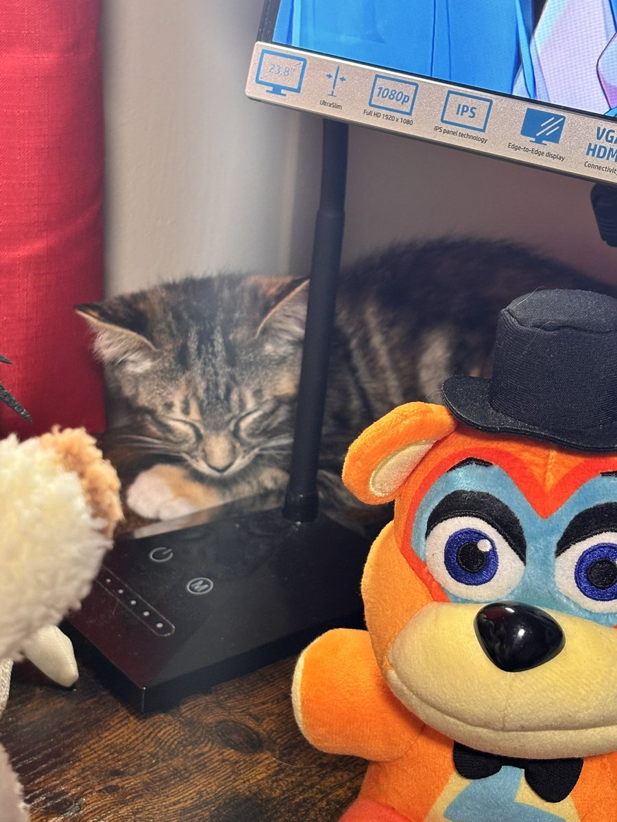 Madeus_VT's tweet photo. FUR BABY

I do not have a name for her yet, but SHES A CUTIEEEEE https://t.co/KDF3AiaEhh