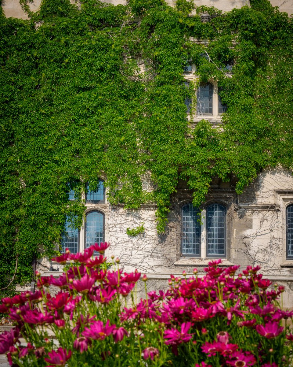 UChicago's tweet photo. Looking back at June, through our lens. ☀️ https://t.co/awinhVRhjv