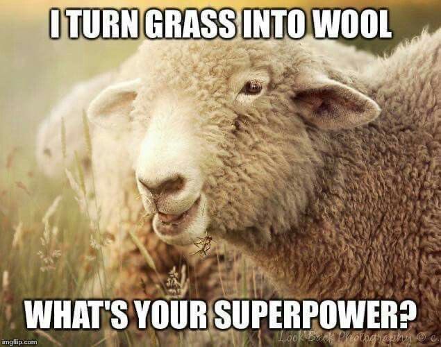 thefarmersheep's tweet photo. what is your super power https://t.co/Jqew5y7c6t