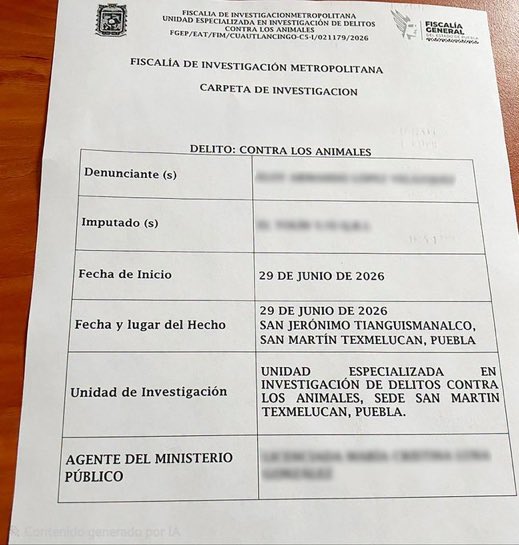 CupulaAlpha's tweet photo. Tras la difusión del video en el que un caballo era maltratado en la junta auxiliar de San Jerónimo Tianguismanalco, autoridades de San Martín Texmelucan informaron que el caso ya fue denunciado ante la #FGE de Puebla. https://t.co/NTA1SZX7ul