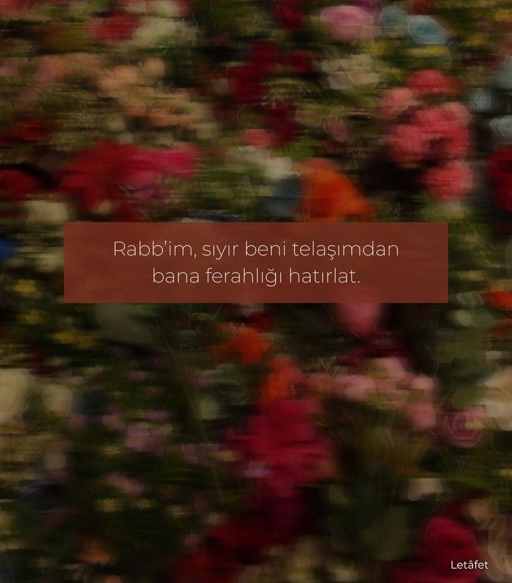 digerkm's tweet photo. "Rabbim! Gönlüme ferahlık ver."

| tâhâ,25 https://t.co/sDsRCunNv6