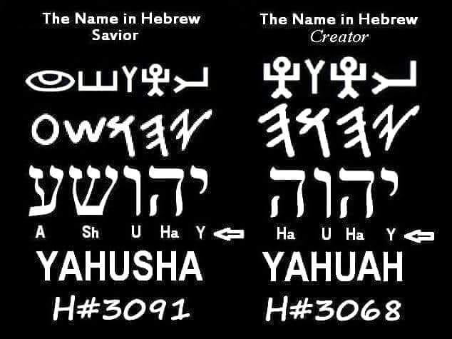 ThundersSeven's tweet photo. @italiathetruth You do know that the name #Jesus is approx. 500 years old - the original Name was changed If you care to look it up it is Strong's Greek word G2424 which is #Iesous
It clearly states from the original Hebrew H3091 #YaHUShA which means #YaHUaH (is) #Saviour
#InThatDay https://t.co/OIIAnieWEJ