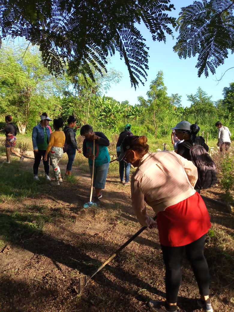 DirectorDe80557's tweet photo. En la unión esta la fuerza dos  instituciones unidas el IP Iselin   Arencibia y la primaria Carlos Manuel de Céspedes en jornada de trabajo productivo en la limpieza del organoponico de ducha escuela. #Chambas https://t.co/fZQC2xJ2NI