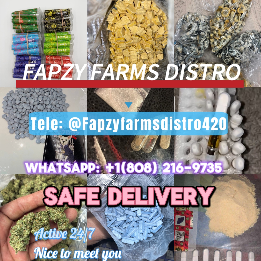 yvetteborrero's tweet photo. TOP SHELF INDOOR EXOTIC CANDY 🍭 WEED. 100% ZAZA weed plug in LA  NYC Israel THC liquid in Riyadh Amman weed in London Uk Milan Italy  weed in Wembley Crystal palace Weed plug whips Switzerland weed in Houston Texas Dallas Miami Florida weed in Albania weed in Yuki Netherlands https://t.co/4UzYK9MBou