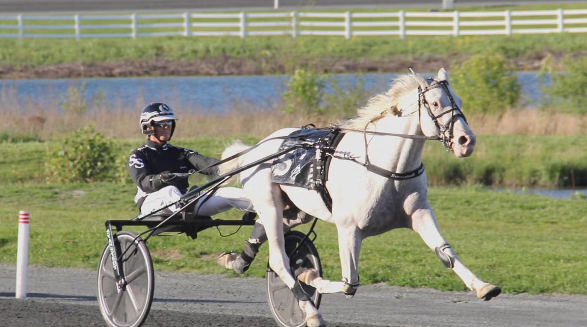 harnesselite's tweet photo. π¨ **RACING CANCELED**
Extreme heat has forced Plainridge to cancel its **July 2** racing card. π‘οΈ
Safety comes first for horses, drivers, and staff. Stay tuned for more harness racing updates. π
https://t.co/FRHR2p3uR1
#HarnessRacing #Plainridge #BreakingNews https://t.co/FVd1sPg0hC