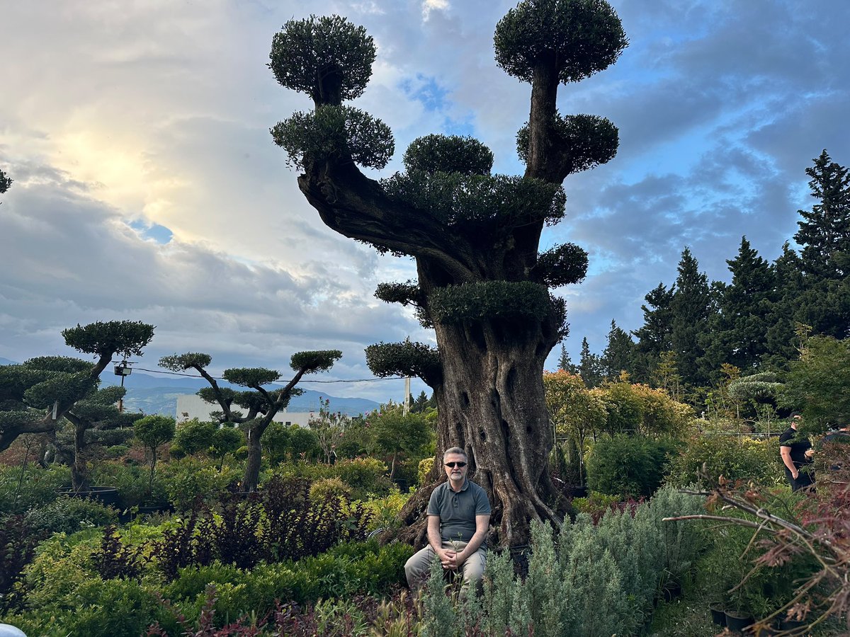 mahmutgol's tweet photo. Bu güzel buluşmaya, 800 yıllık görkemli ağaç ayrı bir anlam kattı. Aynı toprak, aynı su, aynı hava olmasına karşın diğer ağaçlardan farklı olarak asırlara dimdik tanıklık etmesinde, Yaratan’ın kudretini görmek isteyenler için bu ihtişamlı ağaç başlı başına bir ayet gibiydi. https://t.co/B0FWTd5YMo