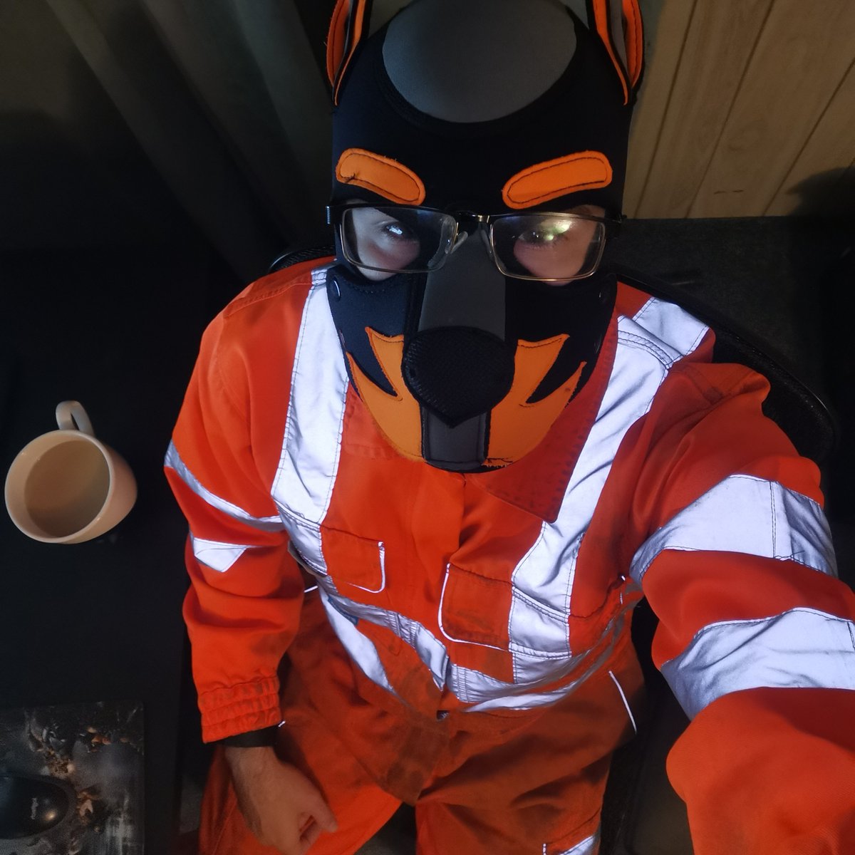 pup_nav's tweet photo. Looks like this puppy found someone's used gear https://t.co/4B28ZTO8wk
