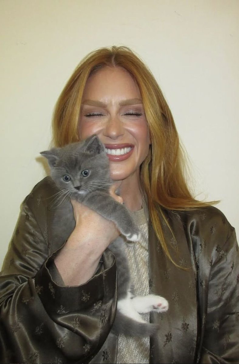 mruyfiles's tweet photo. @mariruybarbosa ama um gatinhook https://t.co/RCbUcUODb5