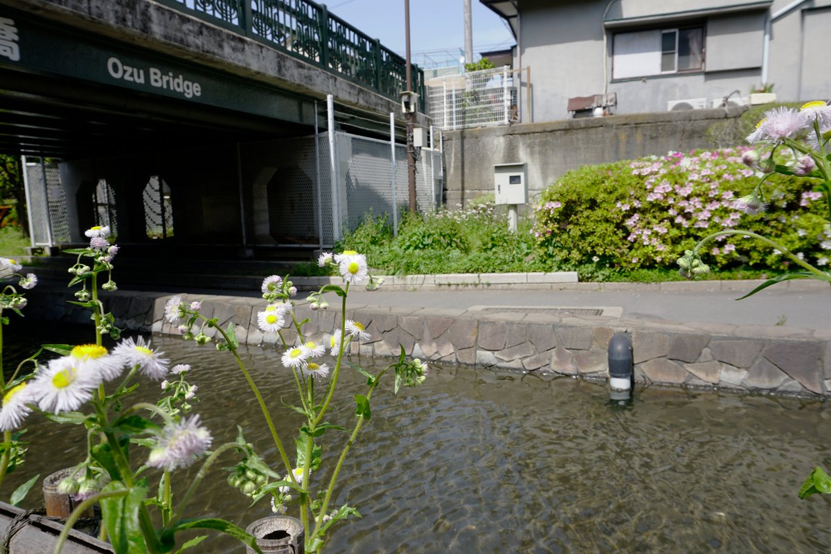 pgalvan91's tweet photo. I was going through some old photos and stumbled upon these: from the time @normancengland and I visited Yasujiro Ozu's birthplace in Fukagawa and learned, while we were there, of the local Ozu Bridge. A charming discovery. https://t.co/91GiHp0MT9