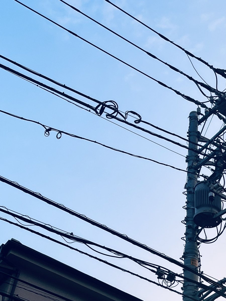 h_m0305's tweet photo. この南国のなり損ないの様なものは怠惰の現れなのか節約の名残なのか分からんけど個性ではある。料理人でいう皿に零れ落ちたラーメン汁とか飛び散ったプレッツェモーロを敢えて拭き取らないのと同じなのかなあ。 https://t.co/2lDaBUc4Xg
