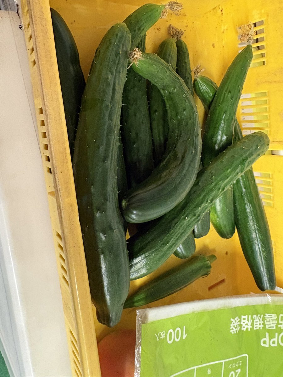 おはようございます😃 今日から7月に突入します これから半年ともに