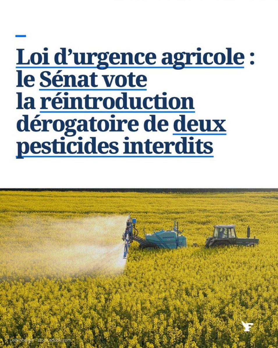 realmarcel1's tweet photo. Les empoisonneurs ne lâchent rien https://t.co/pXL7Mx6JEz