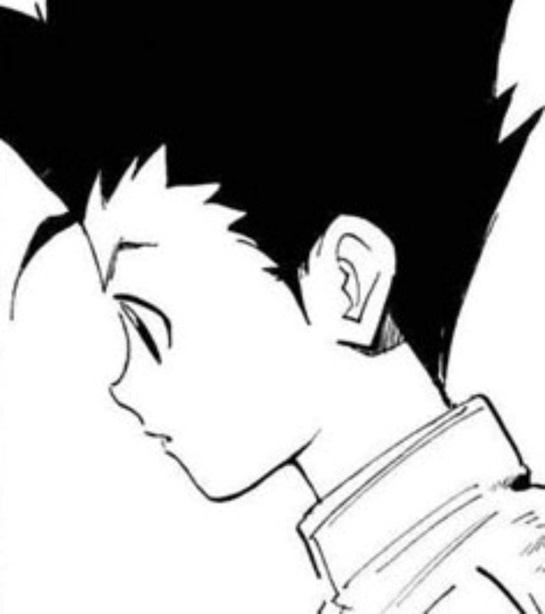 DomiRizu's tweet photo. I miss the little hairs on the front of Gon's face https://t.co/OPOjfkiQkf