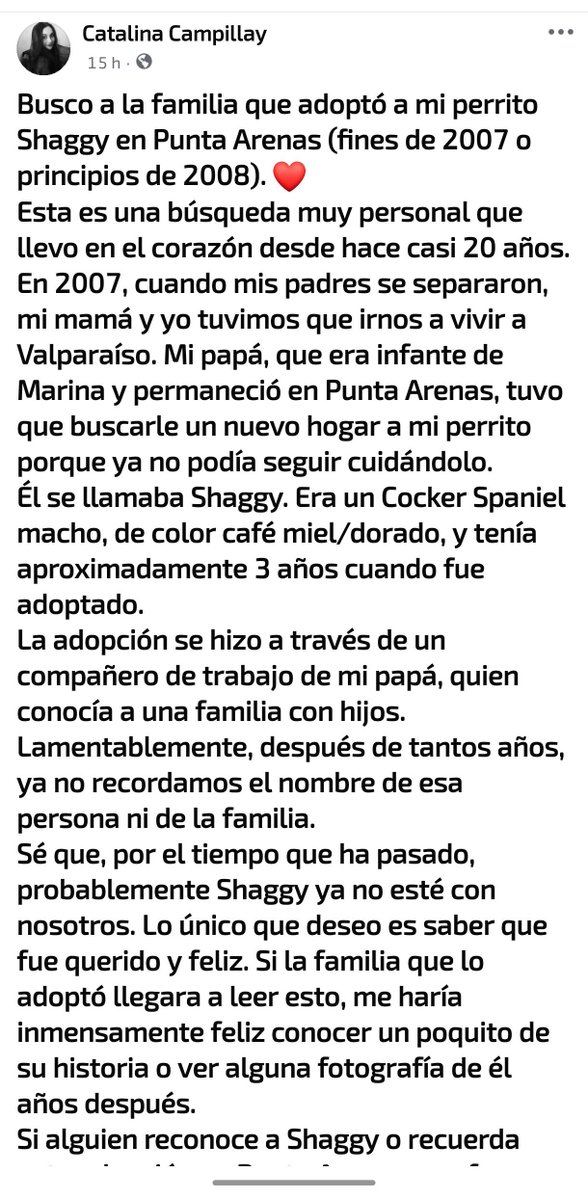 porcelaincami's tweet photo. Una chica está buscando a su perrito que dieron en adopción el 2007-2008. Ella sabe que él ya está en el cielo de los perritos, pero quiere cerrar la herida y saber que fue amado hasta el final :( 🩷 https://t.co/sTGUzhnbFf