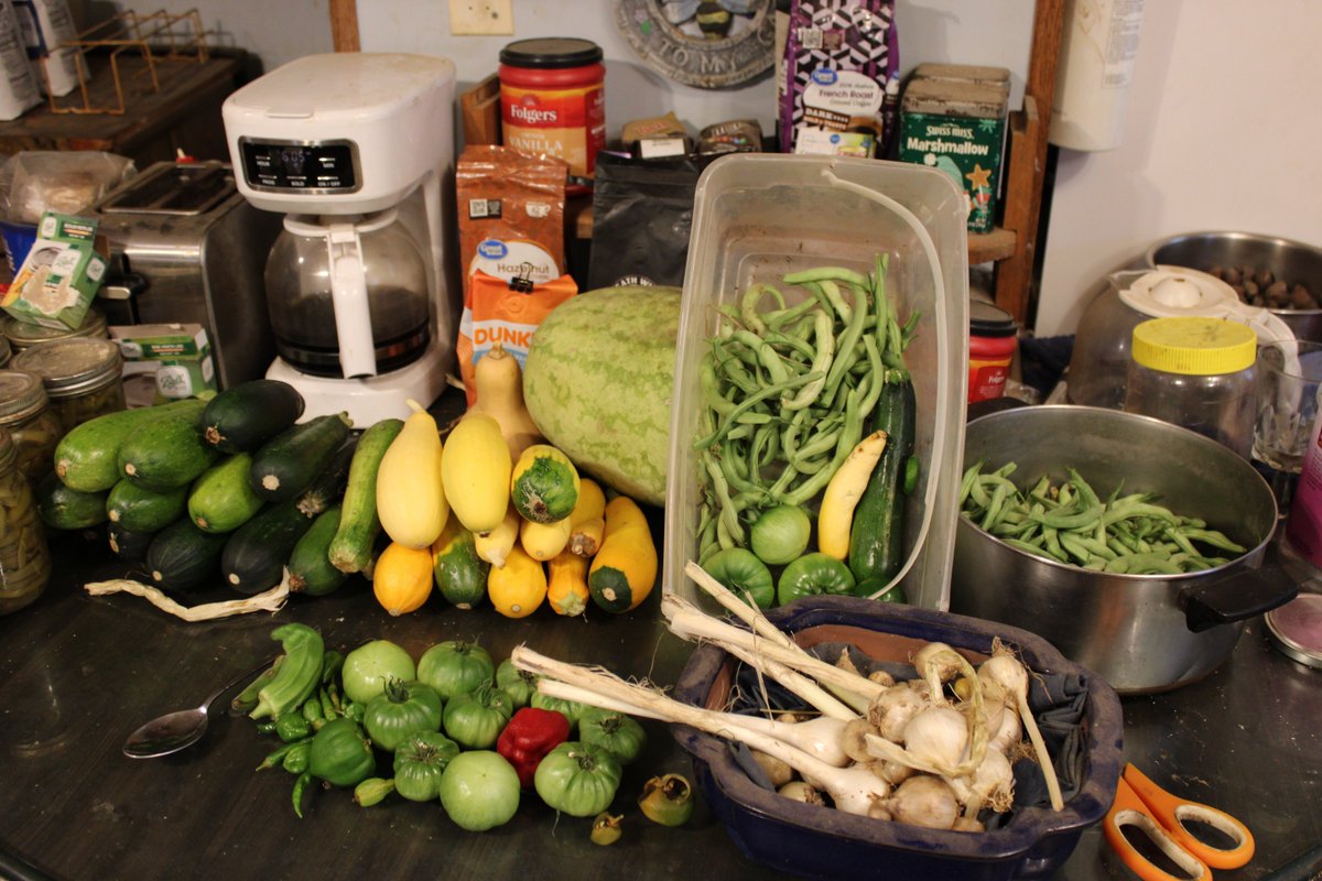 docsanderson's tweet photo. #Scientists #BotanicalGarden #Ecologist
@NatGeo @danpeckwx @HeartsofHeroes_
@Nature G Mags Lizzie After lunch i sat in #garden &Picked more #Zucchini #Squash #Peppers #Tomatoes & #GreenBeans have enough beans for 3rd round of #Canning the HEAT is Intense Naptime Mwah drowsy Lelon https://t.co/U73s0zoZsF