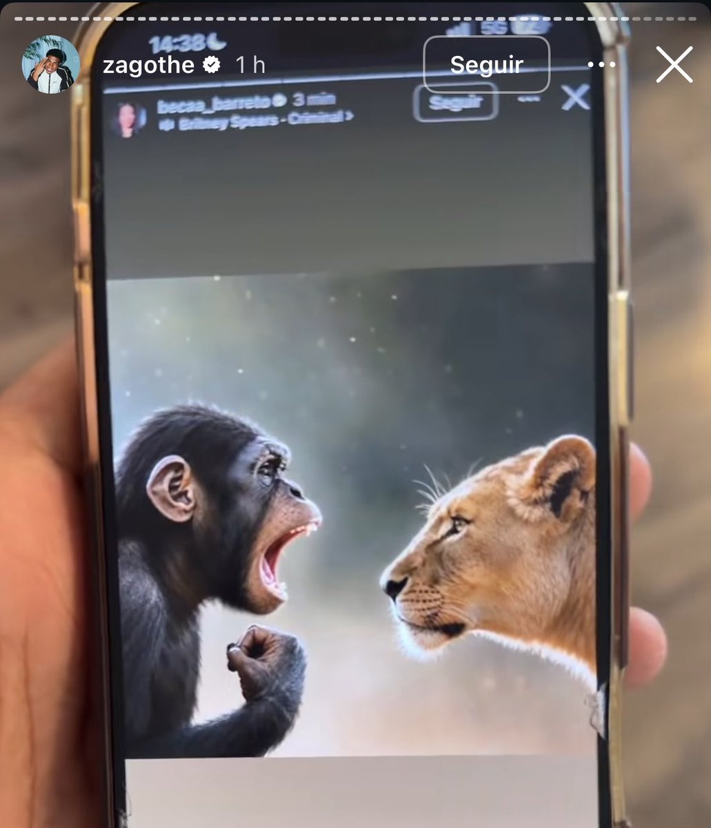 rindocasal's tweet photo. 🚨ABSURDO! Beca Barreto, ex-namorada do influenciador Zago, publicou em seus stories uma montagem mostrando um macaco gritando para um leão e apagou a imagem poucos minutos depois. Internautas passaram a especular que a postagem seria uma possível indireta para o ex. Ao ver a publicação, Zago demonstrou indignação e compartilhou o story da ex, reagindo: “Qual foi da Beca? Me tirou pra macaco? Que que é isso?” 😳
