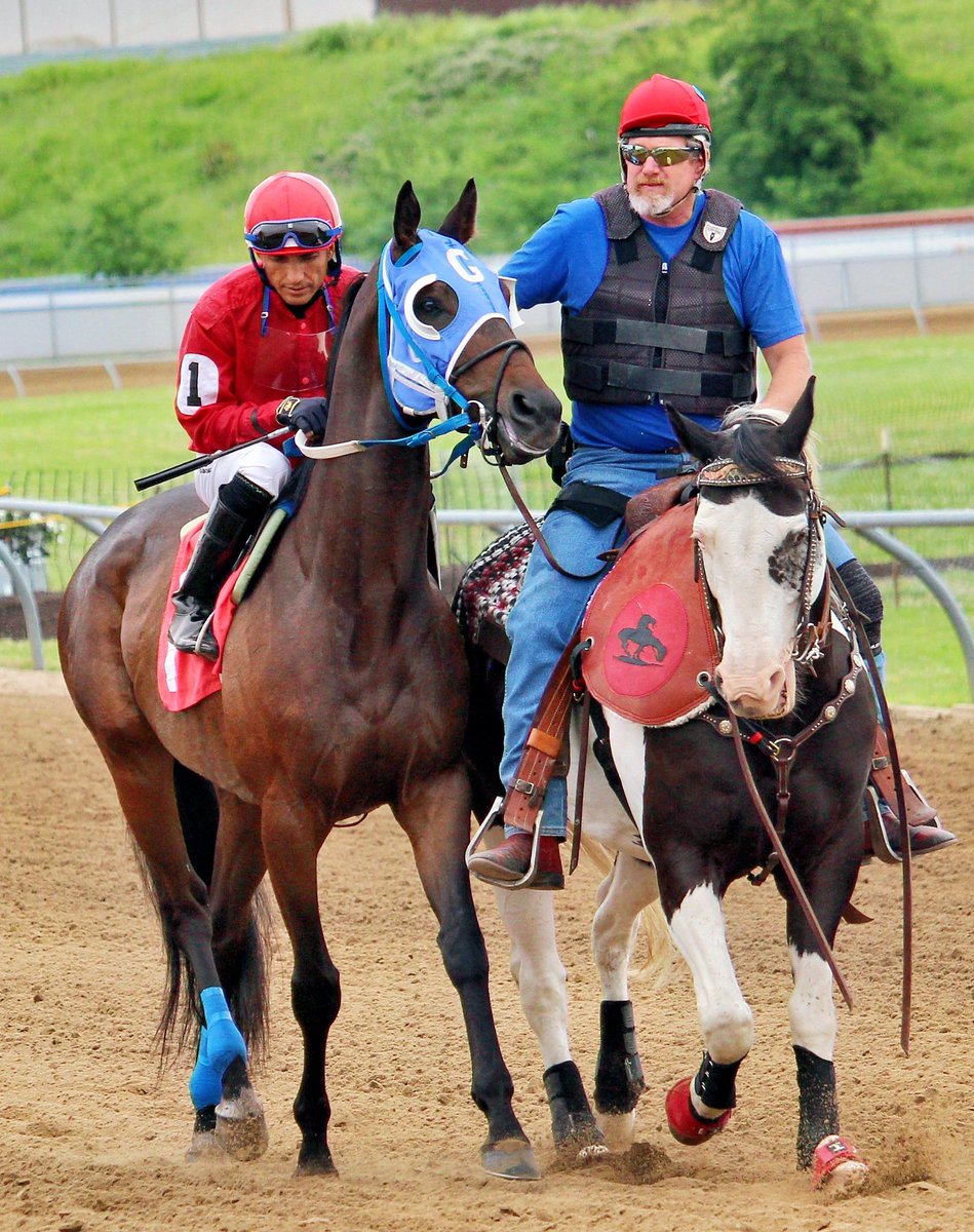 JimmyNeubs's tweet photo. Jocks Day 1 @HorsemensPark https://t.co/WvQQIlKFHJ