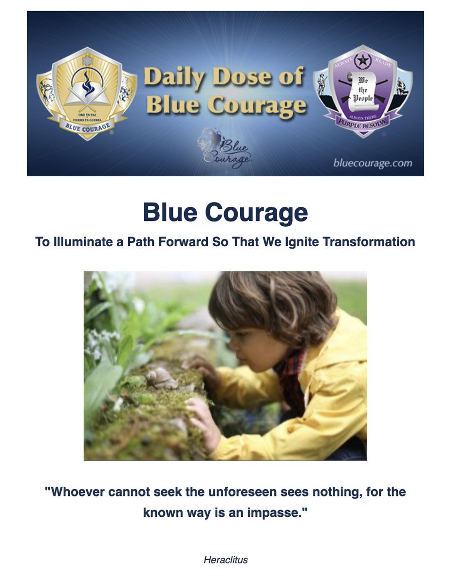 bluecourage's tweet photo. Daily Dose of Blue Courage
#bluecourage #purpleresolve #dailyinspiration #inspirationalquotes #motivation #leadership #spreadpositivity #motivationoftheday #productivity #resilience #inspirational #mindsetshift #motivationalquotesoftheday #morningmotivation #quoteoftheday https://t.co/YY0m8co1Of