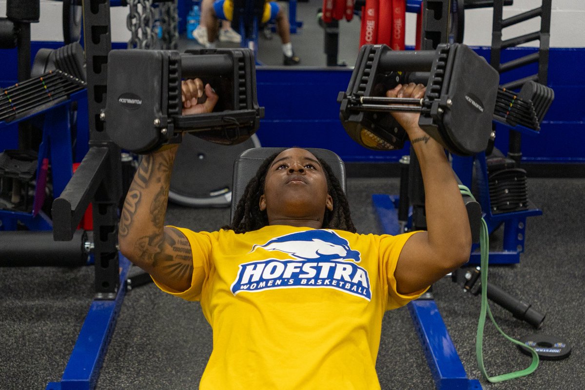 HofstraWBB's tweet photo. Summer sesh

#PrideOfLI https://t.co/5kLNWRw1VO