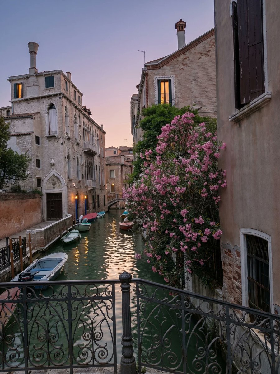 MagnificaLounge's tweet photo. Fin de journée …
#Venice #romantic #love #summer
📷@TheDreamyCity https://t.co/zMT819nmbm