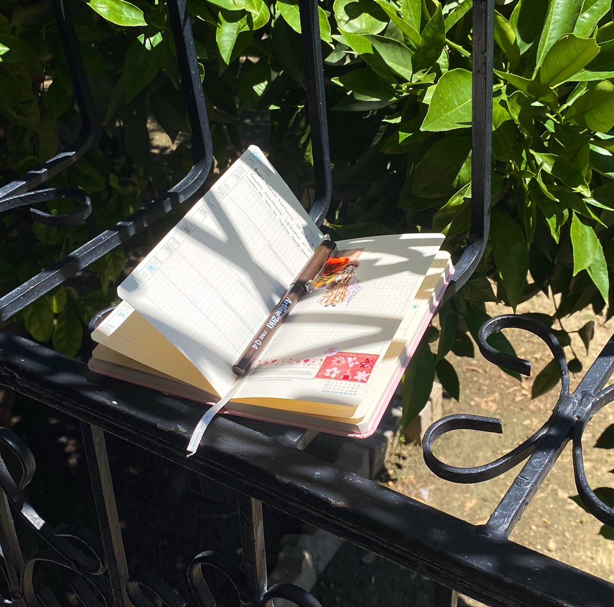 nicediruyuyan's tweet photo. ömür boyu devam ettirmek istediğim tek alışkanlığım 🌷 https://t.co/aWnTXee39n