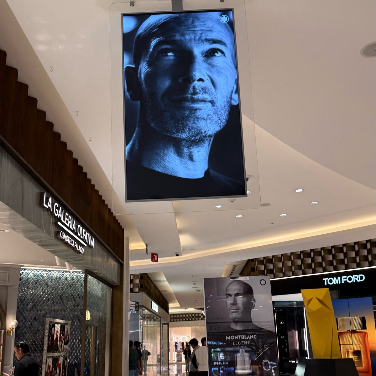 SoyCristianRey's tweet photo. Fui a Palacio de Hierro a comprar ropa porque me quedé más días en México de lo planeado.

Vi una publicidad de Zinedine Zidane promocionando un perfume y, en eso, un trabajador se me acercó. Me dijo que oliera una fragancia nueva y me puso un poco en la muñeca. La verdad no me gustó, pero para no verme grosero le pregunté cuánto costaba.

—$85,000 pesos.

Le dije: “Ya me tengo que ir, pero quizá mañana regreso por él”.

Antes de irme me dijo: “¿Me dejas ponerte un poco en el cuello para que veas cómo se desarrolla durante el día?”.

Le dije que sí.

Y AHORA HUELO A MIERDA.