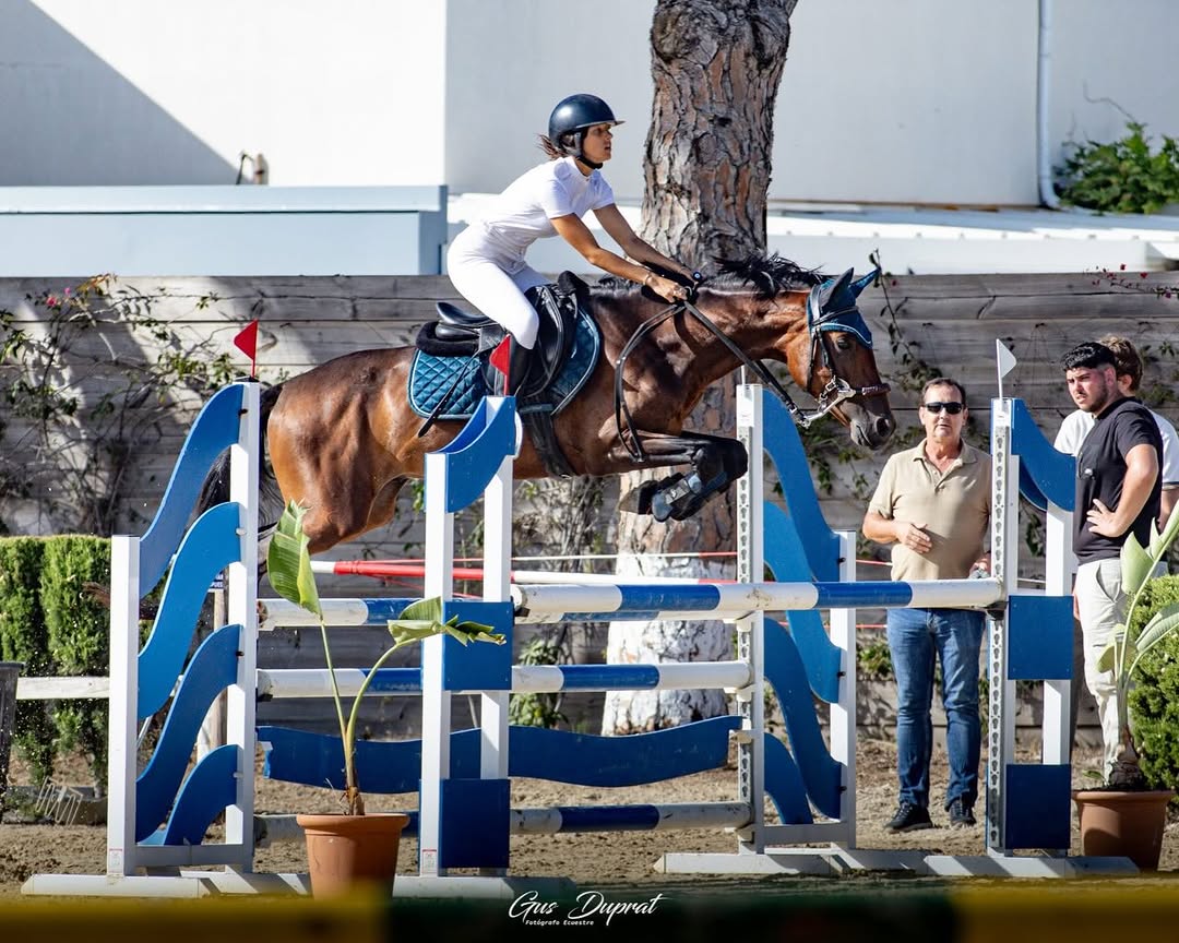 deportescg's tweet photo. 🏇 #hipica La #algecireña #carlotaureta, doble campeona en Hípica Vistahermosa ganando sobre 1m. y 1,10m @fahi @rfhe_ #AndaluzaHípica. Cita donde también ganan dos #sanroqueños en Gran (Helena Klausen) y Pequeño Gran Premio (Miguel Torres) #SanRoque

https://t.co/s8KugM3PMS https://t.co/pA0lu7raEG