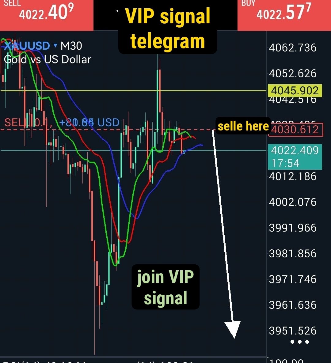 Trendlinetra's tweet photo. 💢 XAUUSD Gold
Sell progress
VIP channel signals on telegram
💢 Join my VIP Telegram channel for XAUUSD Gold and BTCUSD bitcoin VIP signals.
You'll receive 2 to 4 signals per day.
💢 Contact : https://t.co/8pu1mEPyeg on Telegram
#traders #goldtraders #crypto #stocks #invest #gold #xauusd