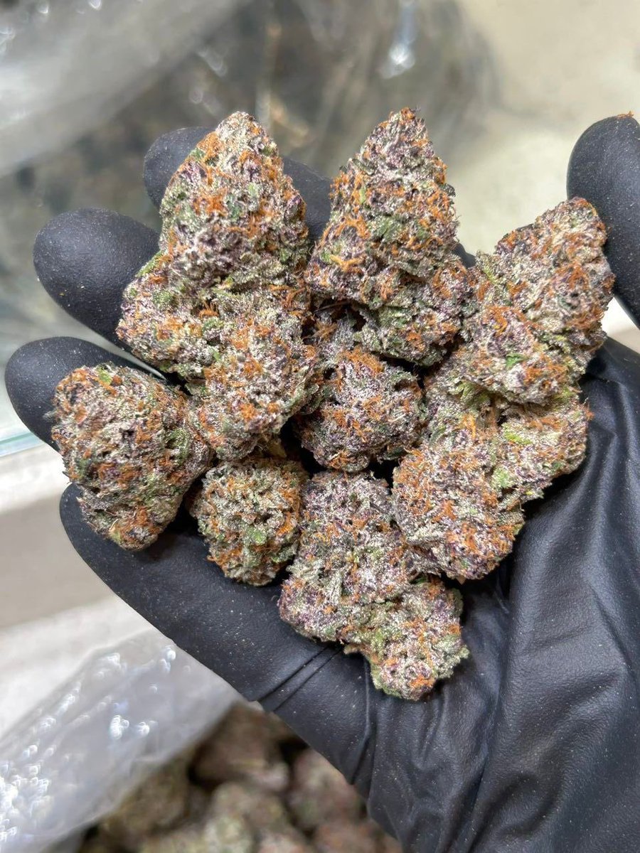Zamania247's tweet photo. #420life #420community #cannabislife #weedlover #weedlovers #weedcommunity #weedculture #weedgram #weednation #weeddaily #highlife #stayhigh #smokeshop #smokeweedeveryday #cannabisdaily #cannabislover #cannabislovers #cannabisworld #cannabisnews #cannabisclub #ganja #loudpack https://t.co/m5Ica2j7yJ