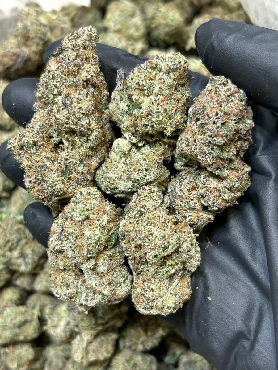 Zamania247's tweet photo. #420life #420community #cannabislife #weedlover #weedlovers #weedcommunity #weedculture #weedgram #weednation #weeddaily #highlife #stayhigh #smokeshop #smokeweedeveryday #cannabisdaily #cannabislover #cannabislovers #cannabisworld #cannabisnews #cannabisclub #ganja #loudpack https://t.co/m5Ica2j7yJ