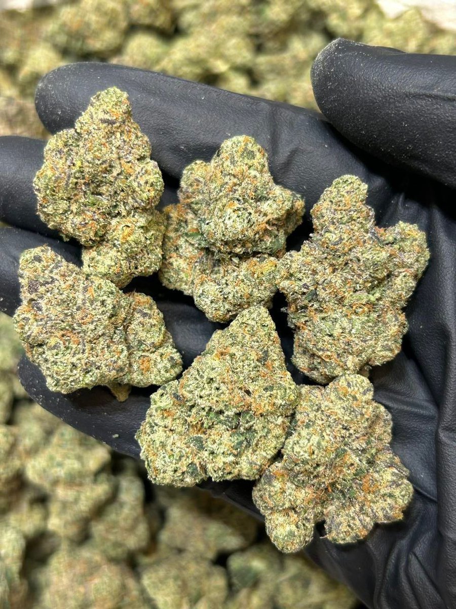 Zamania247's tweet photo. #420life #420community #cannabislife #weedlover #weedlovers #weedcommunity #weedculture #weedgram #weednation #weeddaily #highlife #stayhigh #smokeshop #smokeweedeveryday #cannabisdaily #cannabislover #cannabislovers #cannabisworld #cannabisnews #cannabisclub #ganja #loudpack https://t.co/m5Ica2j7yJ