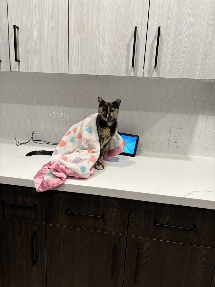 edithwivine1's tweet photo. Life update: I took a step back from UGC to focus on starting my new job in public health (putting my master’s degree to work! 🥹) and because I couldn’t stand the lighting in my old apartment. Now, I have moved into a newly built luxury apartment with lighting so good 😍and I’m back and ready to create again! 💛If you’ve been thinking about working with me, now’s the perfect time. 
#ugc #ugccommunity #ugccreator